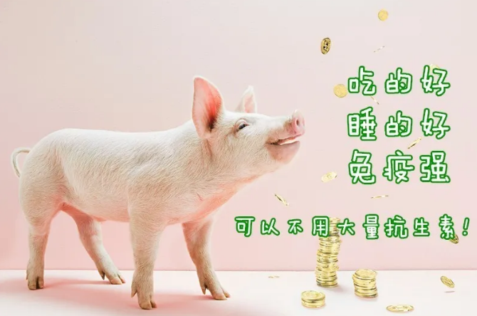 ÈËÉú¾ÍÊDz©¡¤(ÖйúÇø)¹Ù·½ÍøÕ¾