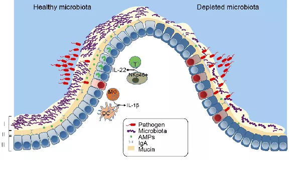�������ǲ���(�й���)�ٷ���վ