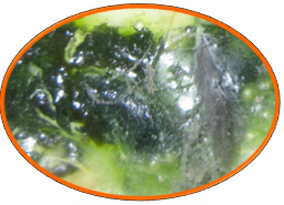 �������ǲ���(�й���)�ٷ���վ