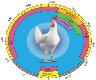 �������ǲ���(�й���)�ٷ���վ