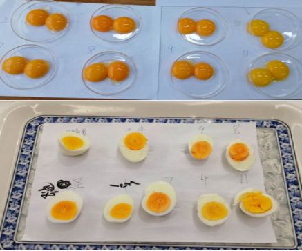 �������ǲ���(�й���)�ٷ���վ